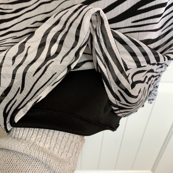 Animal Print. Zebra.  Sequins. Tunic. Fall - Picture 7 of 16